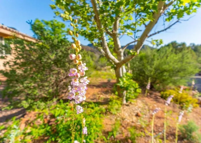 Serene Retreat - 2 Acres, Firepit, River Access Holiday home *